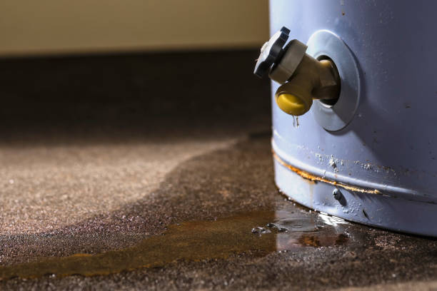 Best Flooded house restoration  in Hayti, PA