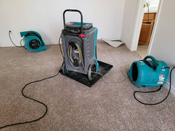  Hayti, PA Water damage restoration Pros