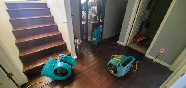 Best Basement water damage restoration  in Hayti, PA
