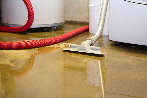 Best Basement water damage restoration  in Hayti, PA